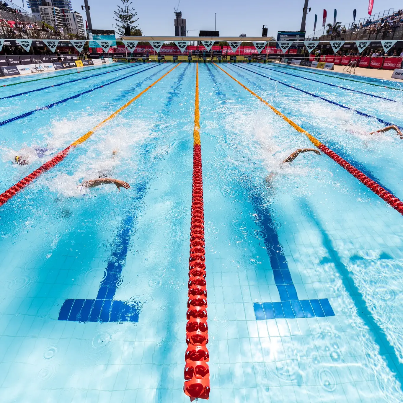 Olympic pool with lane lines
